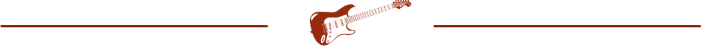 Guitar Niche -bar strat