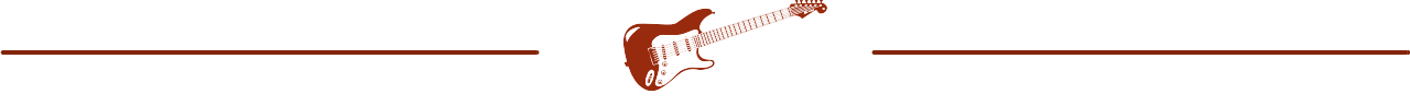 Guitar Niche -bar strat